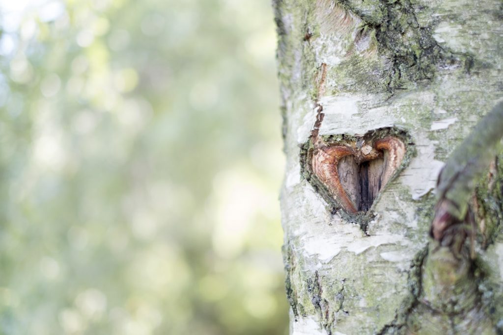 Hochzeitsfotograf Frankfurt Bad Soden